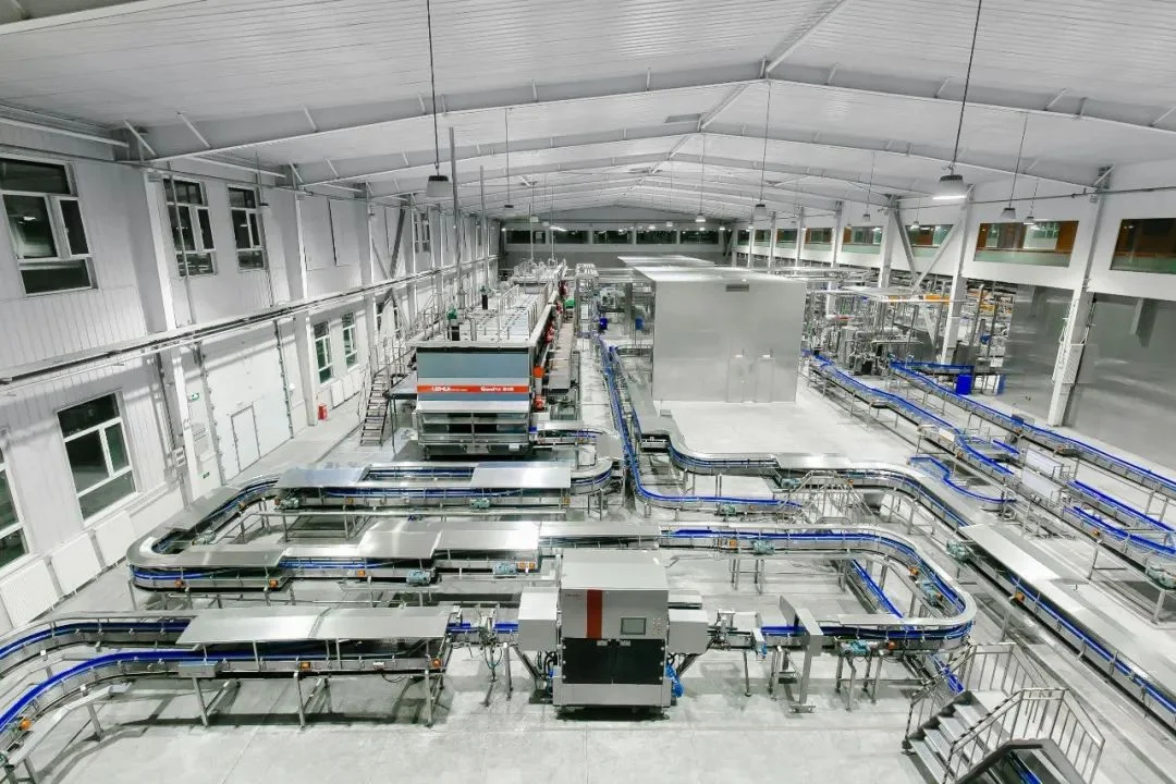 Illustrative food processing equipment